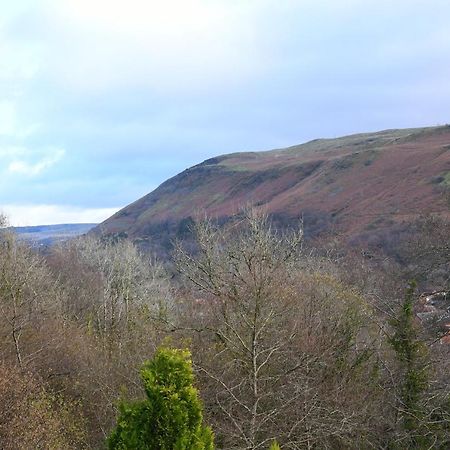 Cilbrwyn Bed & Breakfast Swansea Dış mekan fotoğraf